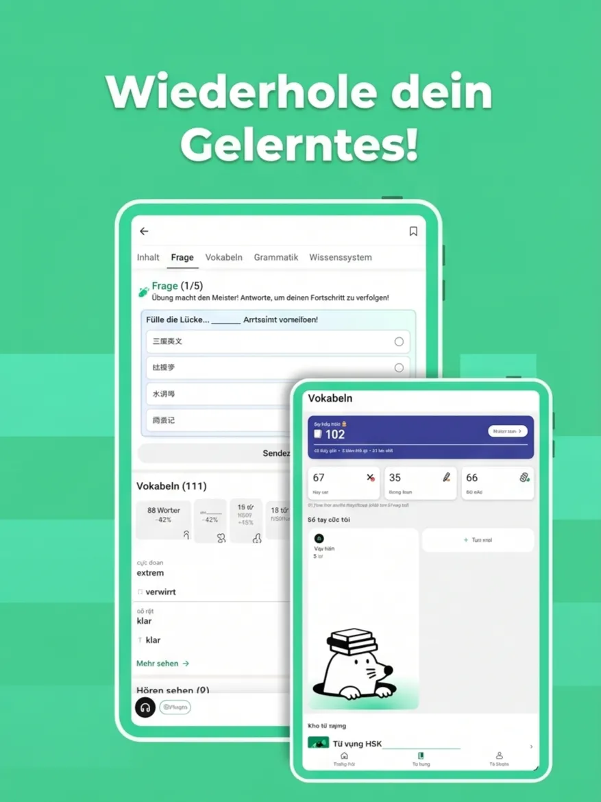 Flashcards preview 3
