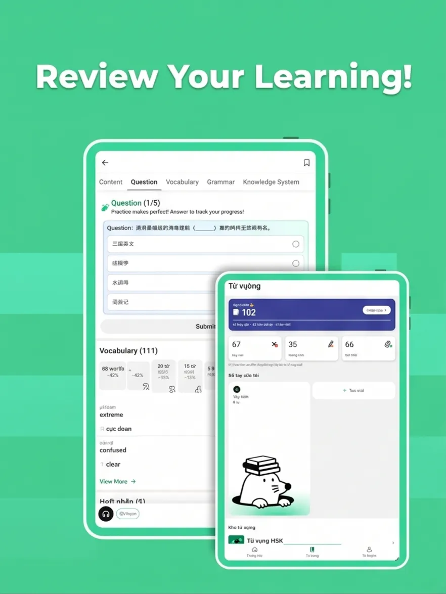 Flashcards preview 3