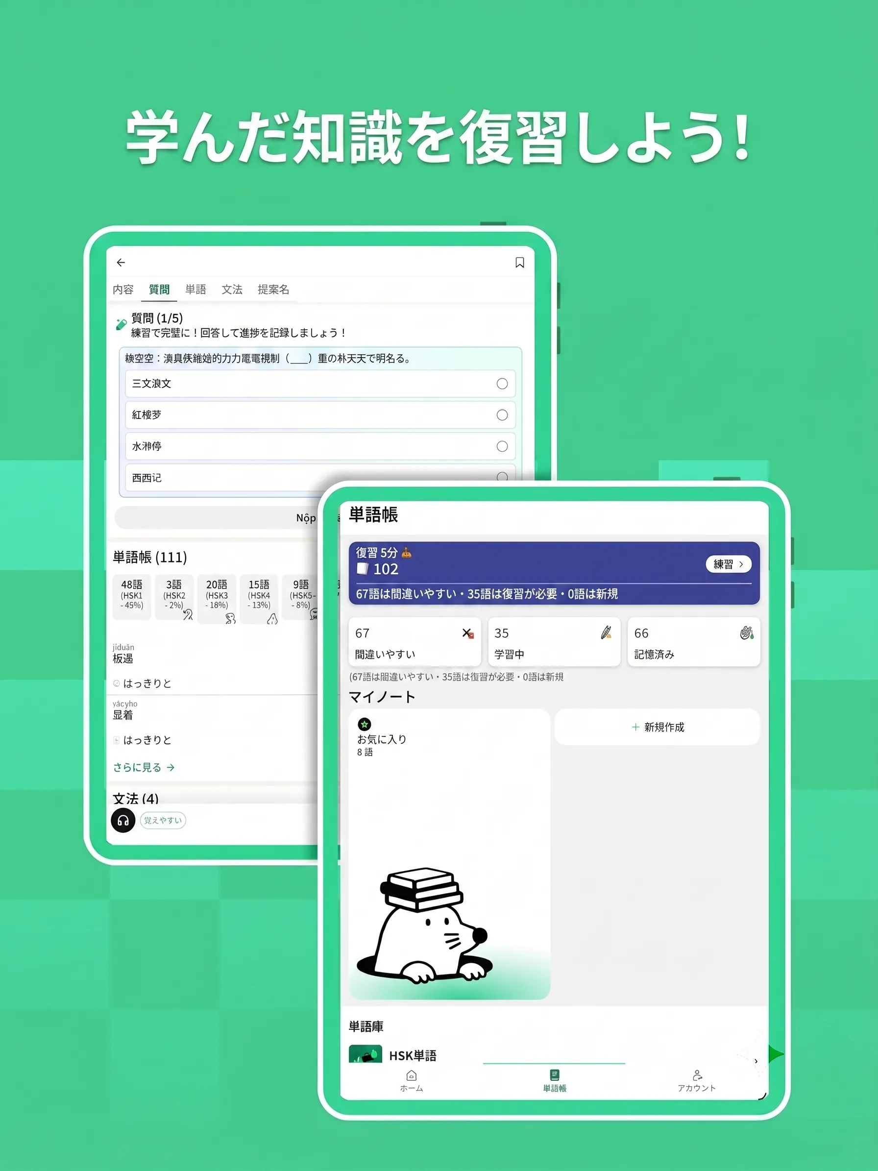Flashcards preview 3