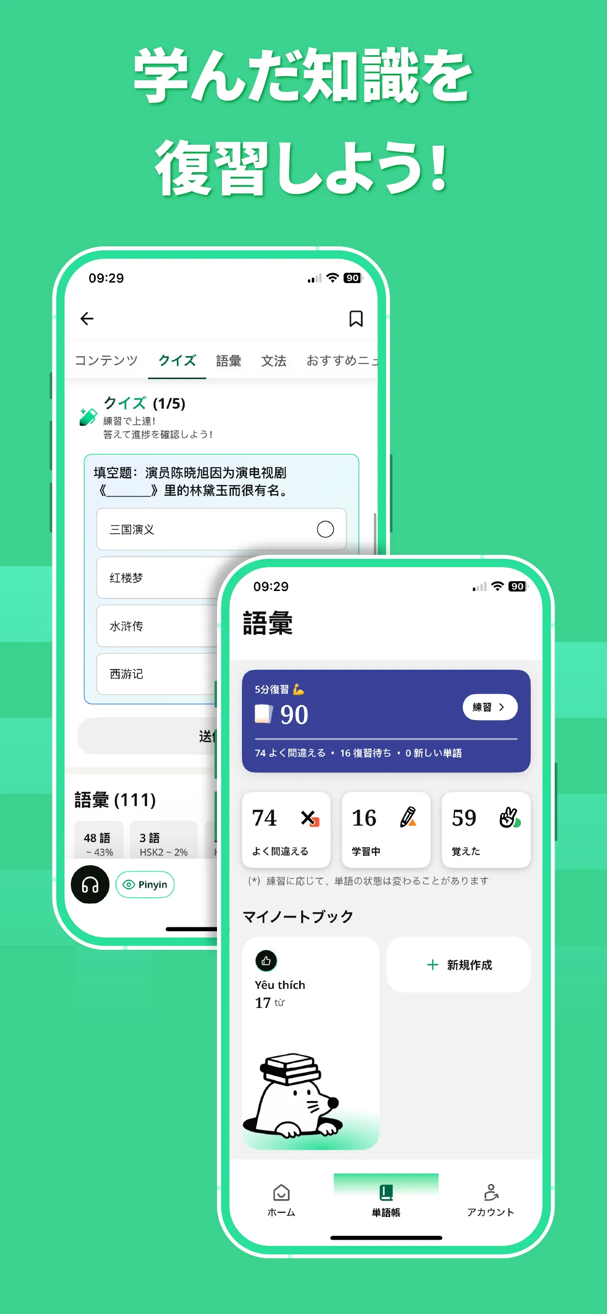 Flashcards preview 2