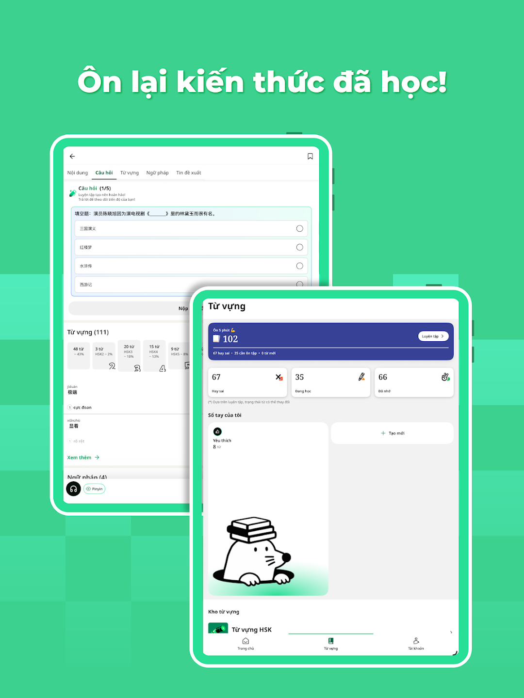 Flashcards preview 3